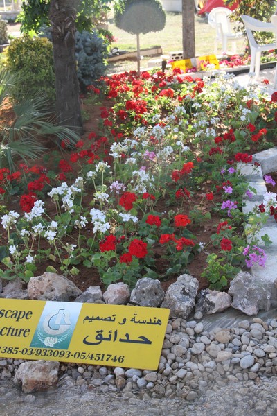 Garden Show & Spring Festival Part 2